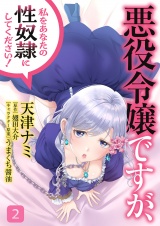 悪役令嬢ですが、私をあなたの性奴隷にしてください！【電子単行本版】２ パッケージ画像