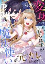 私を変身させてくれるはずの魔法使いが元カレだった件。【単話】 11 パッケージ画像