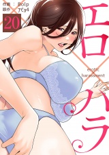 エロ×ハラ２０ パッケージ画像