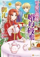 可愛い義妹が婚約破棄されたらしいので、今から「御礼」に参ります。３ パッケージ画像