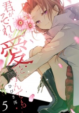 君がそれを愛と呼んでも【電子単行本版】５ パッケージ画像