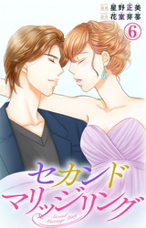 セカンドマリッジリング6 パッケージ画像