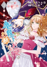 竜陛下のお妃はお断りしたい！〜竜陛下は10番目の側妃を溺愛中〜【電子限定特典付き】 (3) パッケージ画像