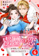 虜囚の恋～お世話していた騎士団長に溺愛されてるようです～【合冊版】6 パッケージ画像
