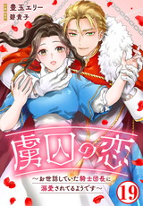 虜囚の恋～お世話していた騎士団長に溺愛されてるようです～19 パッケージ画像