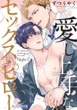 愛し上手なセックス・ピロー　Night:5 パッケージ画像