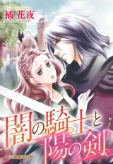 【新装版】闇の騎士と陽の剣 パッケージ画像