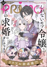 PRIMO Vol.35 パッケージ画像