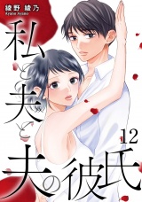 私と夫と夫の彼氏 12巻 パッケージ画像