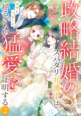 政略結婚のスパダリ弁護士はママとベビーに揺るぎない猛愛を証明する　2 パッケージ画像