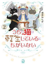 うちの猫は転生しているにちがいない2 パッケージ画像