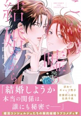 これは嘘の結婚だから パッケージ画像