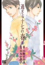 過ぎる十七の春 (1) パッケージ画像