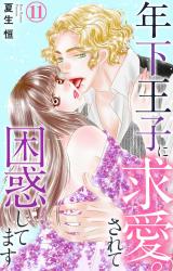 年下王子に求愛されて困惑してます11 パッケージ画像