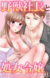 野獣社長と処女令嬢～政略結婚はじめました～3 パッケージ画像