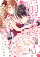 溺愛騎士様の可愛く淫らな聖女ちゃん 処女なのに朝から晩まで愛され中 パッケージ画像