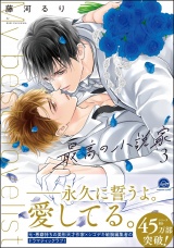 最高の小説家 3 【電子限定かきおろし漫画付】 パッケージ画像