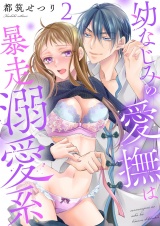 幼なじみの愛撫は暴走溺愛系【描き下ろしおまけ付き特装版】 2 パッケージ画像