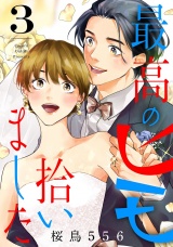 最高のヒモ拾いました（３）【電子単行本特典付】 パッケージ画像