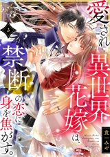 愛され異世界花嫁は、禁断の恋に身を焦がす。(3) パッケージ画像