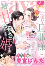Young Love Comic aya 2022年11月号 パッケージ画像