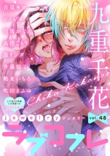 ラブコフレ　ｖｏｌ．48 jewelry 【限定おまけ付】 パッケージ画像