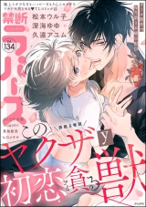 禁断Lovers Vol.134 パッケージ画像