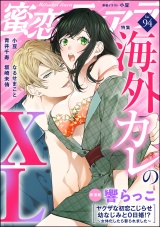 蜜恋ティアラ Vol.94 海外カレのXL パッケージ画像
