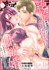 蜜恋ティアラ Vol.111 パッケージ画像