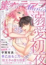 蜜恋ティアラMania Vol.67 溺愛初夜 パッケージ画像