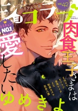 ショコラブvol.42 パッケージ画像