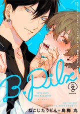 B.Pilz　ｖｏｌ．29 パッケージ画像
