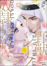 野獣シークと奴隷契約しました。 12 【かきおろし漫画付】 パッケージ画像