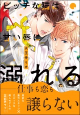 ビッチな猫は甘い唇に溺れる【電子限定かきおろし漫画付】 パッケージ画像