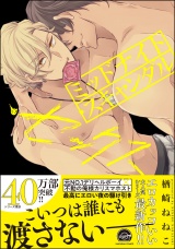 ミッドナイト・スキャンダル・セックス【電子限定かきおろし漫画6P付】 パッケージ画像