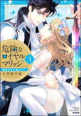 危険なロイヤルマリッジ 溺愛王子に奪われて （3） 【かきおろし漫画付】 パッケージ画像