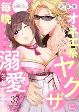 オネエ系ヤクザに毎晩溺愛されてます 37 パッケージ画像