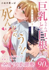 【ラブチーク】巨乳ちゃんと巨根上司〜全身快楽調整初回90分〜【コミックス完結記念全サ小冊子】 パッケージ画像