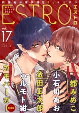 エストロ vol.17 パッケージ画像