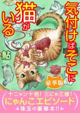 気付けばそこに猫がいる【豪華版】 パッケージ画像