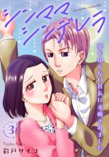 シンママシンデレラ 愛を知らない社長に求婚されました3 パッケージ画像