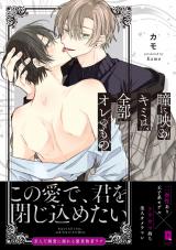瞳に映るキミは、全部オレのもの【単行本版】【電子限定描き下ろし漫画付き】 パッケージ画像