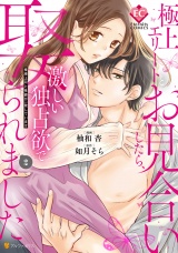 極上エリートとお見合いしたら、激しい独占欲で娶られました　俺様上司と性癖が一致しています２ パッケージ画像