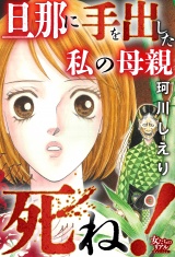 旦那に手を出した私の母親死ね！ パッケージ画像