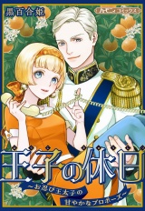 【新装版】王子の休日〜お忍び王太子の甘やかなプロポーズ〜 パッケージ画像