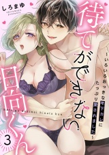 待てができない日向くん〜いろいろおっきな年下カレにたっぷり愛されました〜(3) パッケージ画像