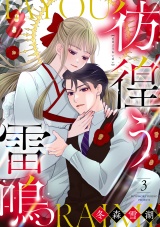 【合冊版】彷徨う雷鳴3 パッケージ画像