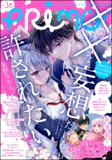 PRIMO Vol.36 パッケージ画像