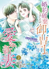 婚約破棄しましたが、御曹司の愛され新妻になりました２ パッケージ画像