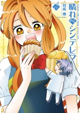 晴れのちシンデレラ　（１７） パッケージ画像